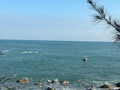 -广东惠东海龟国家级自然保护区