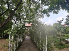 -双榆树公园