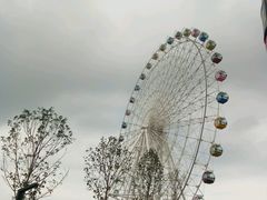 -琴岛之星摩天轮