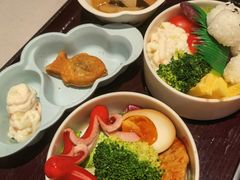 -dodonpa.墩墩伐 便当食堂(博华广场店)