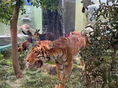 -国家自然博物馆