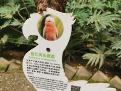 -南宫五洲植物乐园