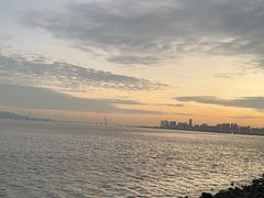 -深圳湾公园(南山区)