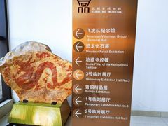 -昆明市博物馆(昆明市文物保护和考古研究中心)