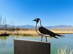 -野鸭湖国家湿地公园