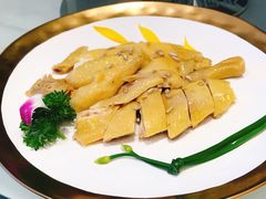 珍味白切葵花鸡-御彩酒家(东风东路店)