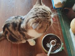 -参差咖啡(水果湖公园店)