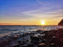 -宝安西湾红树林湿地公园