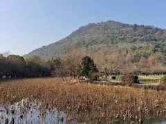 -八卦田遗址公园