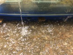 -海景壹号大酒店(滨湖店)