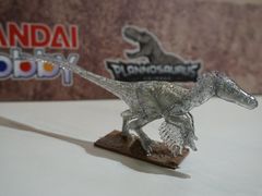 -陕西自然博物馆