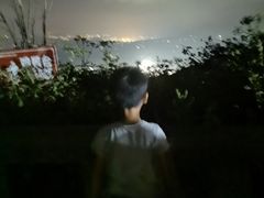 -武陵山森林公园