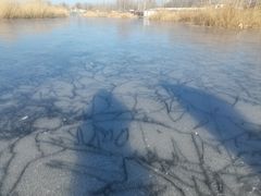 -白洋淀景区
