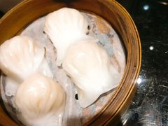 -高第街56号港式餐厅·精选(世茂广场宽厚里大明湖店)