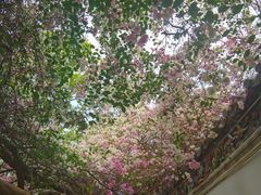 -深圳国际园林花卉博览园