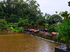 -南宁荔园维景国际酒店·荔园中餐厅