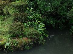 -三千院
