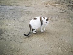 -普迪生态园
