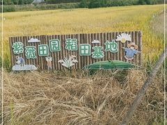 -武汉紫薇都市田园