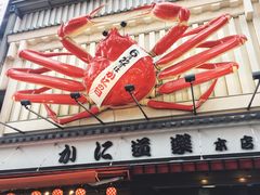 -蟹道乐(道顿堀本店)