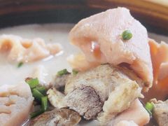 -洞庭家宴·头牌甲鱼(广渠门店)