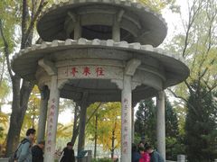 -玲珑塔公园