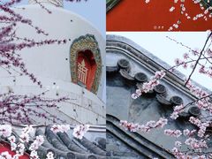 -北京明城墙遗址公园