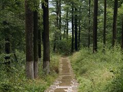 -莫干山风景区