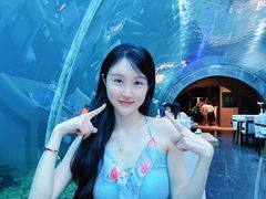 -涛·海底餐厅·美人鱼·自助餐·海底隧道(三亚海棠湾洲际度假酒店)