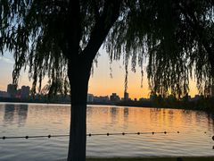 -天鹅湖体育公园