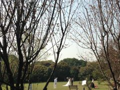 -江心屿景区