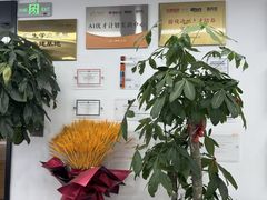 -新东方斯芬克艺术留学作品集培训(郑州校区)