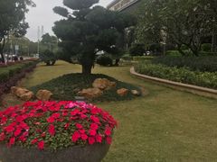 -惠州康帝国际酒店
