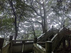 -梧桐山风景名胜区