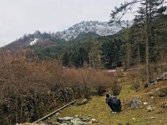 -硗碛藏寨·神木垒景区