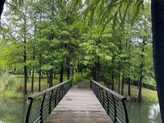 -尚贤河湿地
