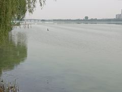 -金银湖国家城市湿地公园