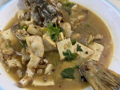 -煲来饱去冷水鱼