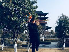 -东台西溪天仙缘景区