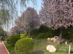 -西安汉城湖景区