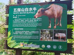 -海南热带野生动植物园