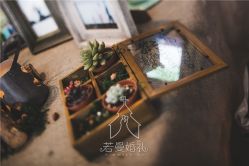 -西安威斯汀大酒店·宴会厅