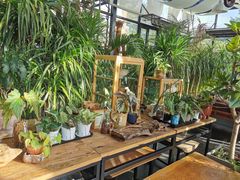 -北马山庄植趣咖啡
