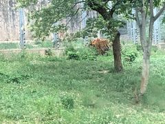 -西安秦岭野生动物园
