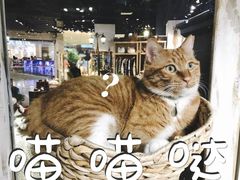 -小时光咖啡馆(开森度假森林店)