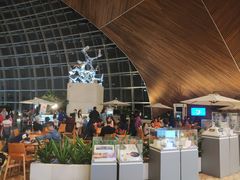 餐饮设施-国家大剧院