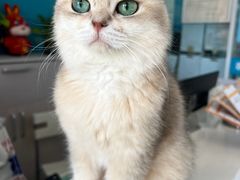 -乖乖乐动物医院(小汤山分院)