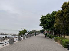 -深圳湾公园(南山区)