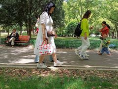 -堤角公园