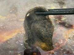 -储奇门鳝鱼火锅(总店)